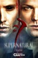 Sobrenatural 1ª Temporada Completa Torrent